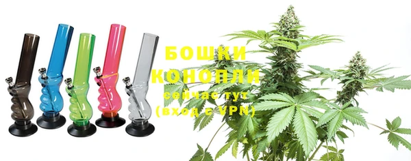 PSILOCYBIN Михайлов