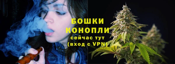 PSILOCYBIN Михайлов