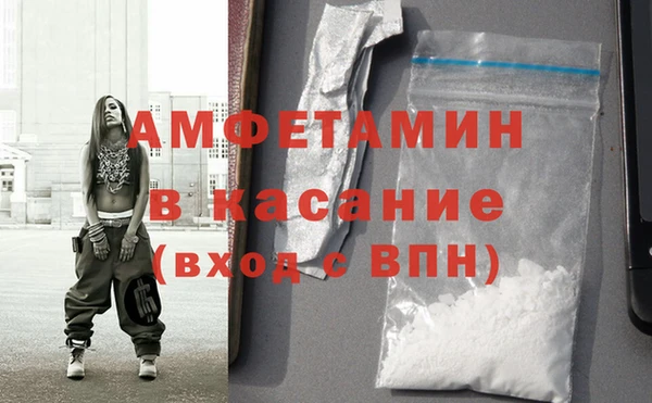 PSILOCYBIN Михайлов