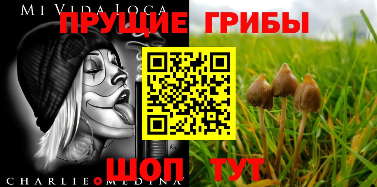 Псилоцибиновые грибы Psilocybine cubensis Алатырь