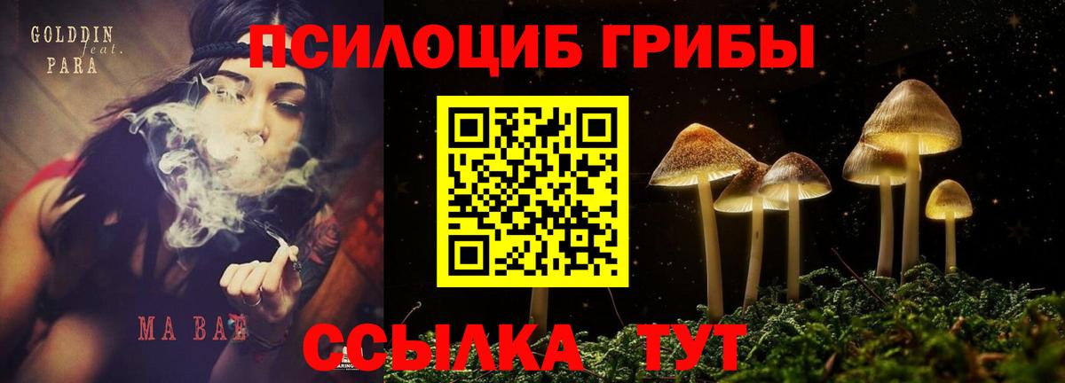 Алатырь  Галлюциногенные грибы Magic Shrooms  Вход с VPN 